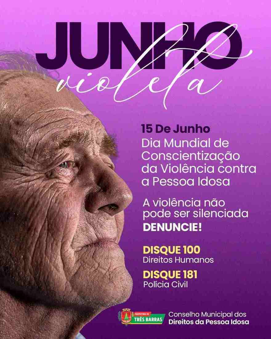  Junho Violeta