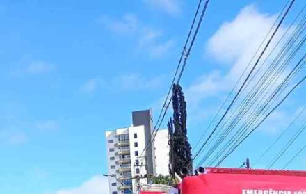 Divulga&ccedil;&atilde;o