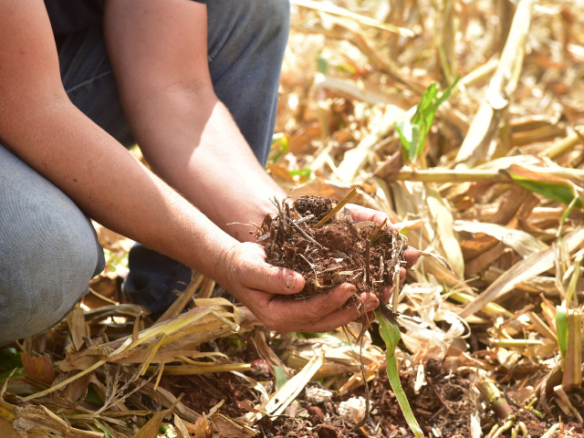 Sistema de plantio direto protege o solo do excesso e da falta de água e ajuda a fixar carbono na terra 
