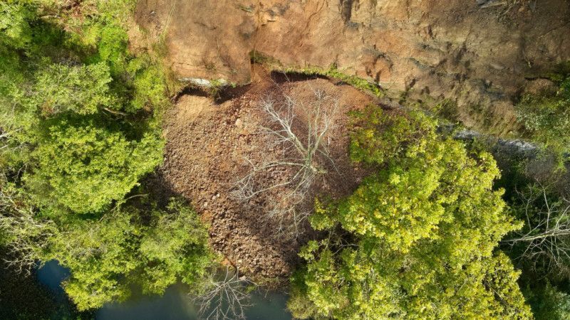 Pista é totalmente liberada após corte de árvores em área de deslizamento no acesso a Marcílio Dias
