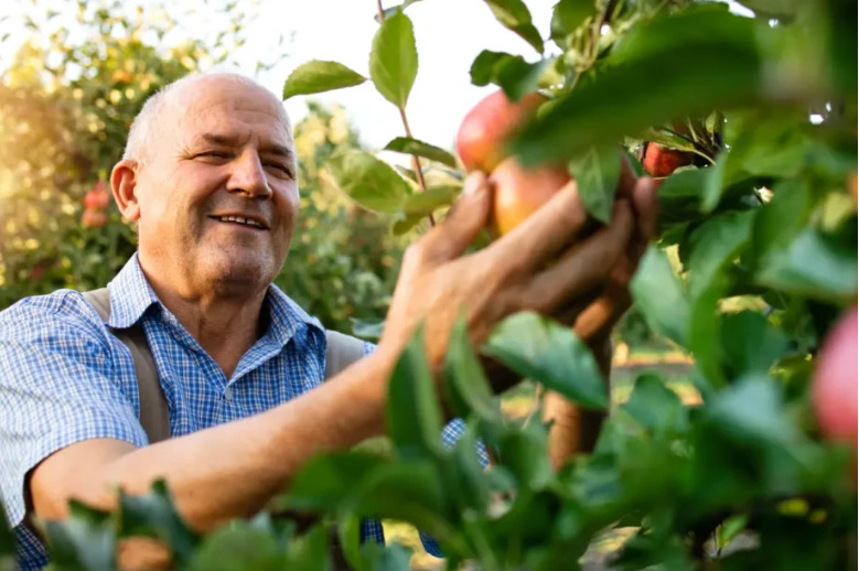  Agronegócio em Santa Catarina recebe mais de R$ 23 milhões em investimentos do Sebrae