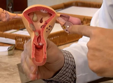 Aberta chamada p&uacute;blica para pesquisas sobre endometriose 