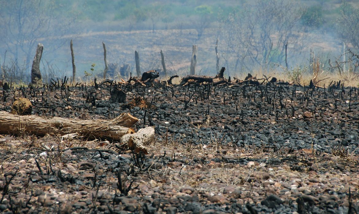 Sociedade civil rejeita agenda excludente aprovada no início da COP17