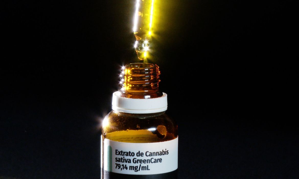 Autorizações para importação de cannabis aumentam 29% em 2026