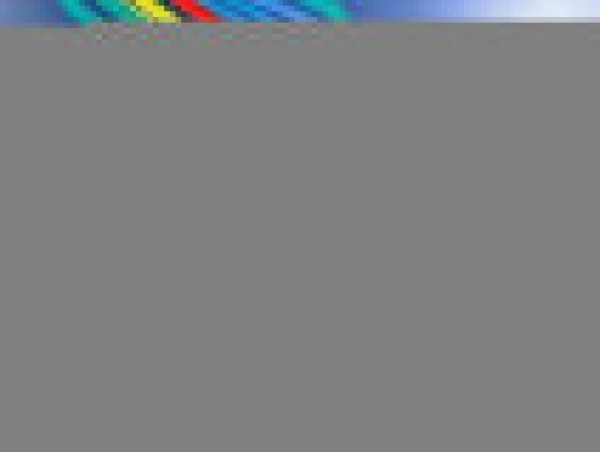 Lula e Edorgan combinam cria&ccedil;&atilde;o de conselho entre Brasil e Turquia