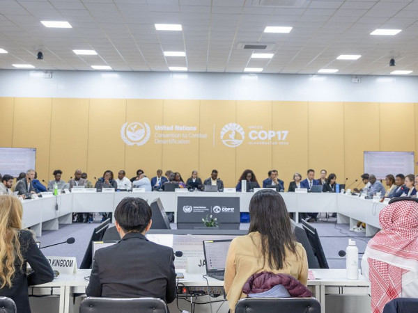 COP17 caminha para novo adiamento de acordo de combate &agrave;s secas