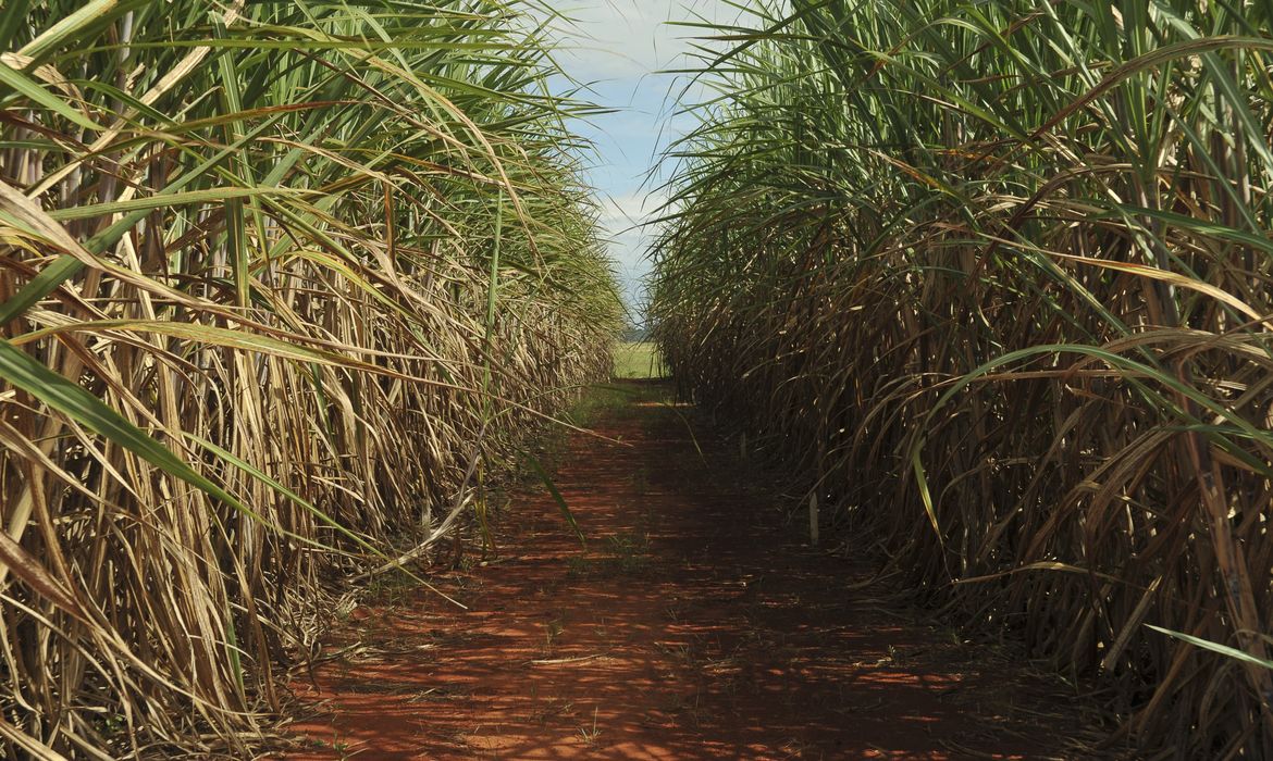 Conselho eleva limite de remuneração do Eco Invest Brasil