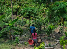 Da Amaz&ocirc;nia ao Chaco, Am&eacute;rica Latina tem desafios com clima e terra