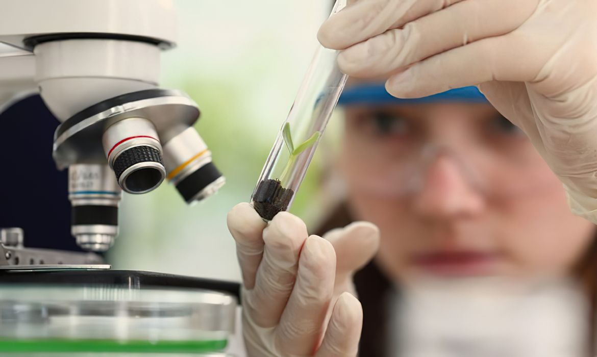 Prêmio para mulheres e meninas cientistas abre inscrições até outubro