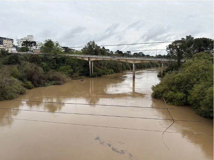Nível do rio Negro continua subindo