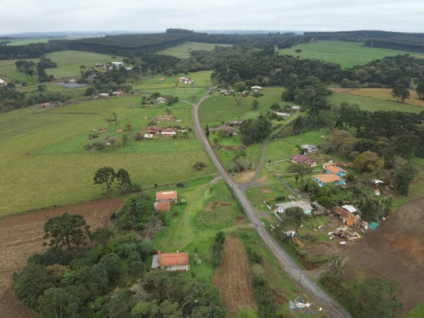 As imagens mostram que as &aacute;rvores tombaram e ca&iacute;ram todas para um mesmo lado, caracter&iacute;stica de um vendaval.