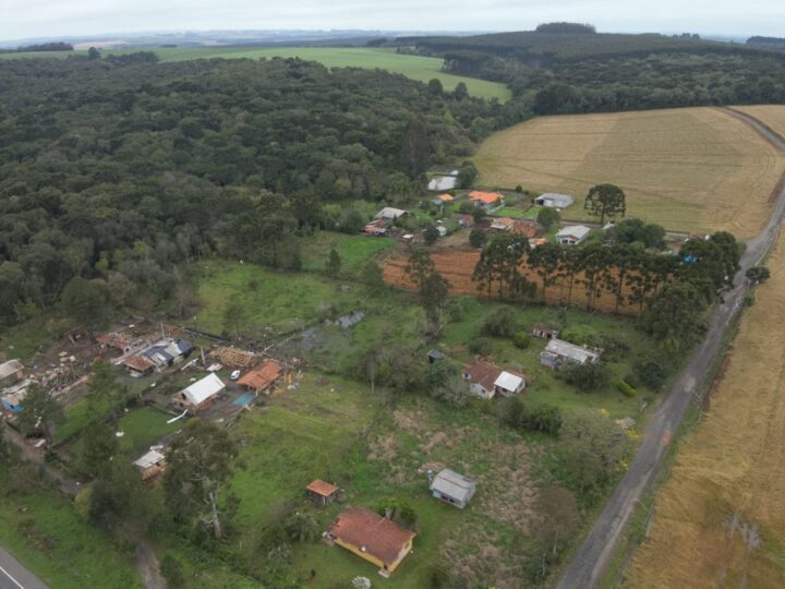 As imagens mostram que as &aacute;rvores tombaram e ca&iacute;ram todas para um mesmo lado, caracter&iacute;stica de um vendaval.