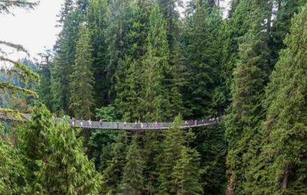 A Ponte Suspensa de Capilano, pr&oacute;xima a Vancouver, no Canad&aacute;, tem 137 metros  de comprimento e est&aacute; a 70 metros de altura. 

Foi constru&iacute;da em 1889 (h&aacute; 137 anos)  e, com o passar dos anos, foi refeita com materiais mais resistentes.