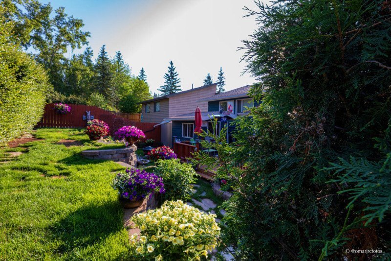 O jardim interno de Mr. Jones, na cidade de Calgary, revela uma beleza ef&ecirc;mera. Todo o seu trabalho dura apenas 4 meses. Depois o frio mata tudo.