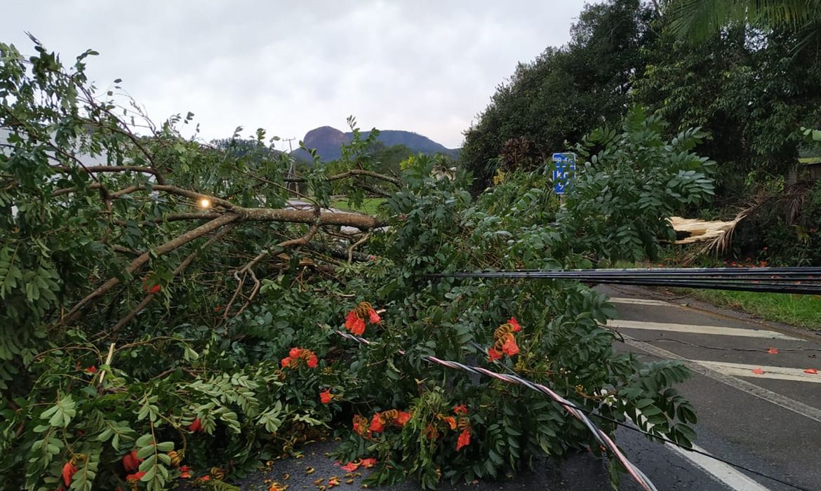 Alerta de tempestade: frente fria amplia instabilidade na Região Sul