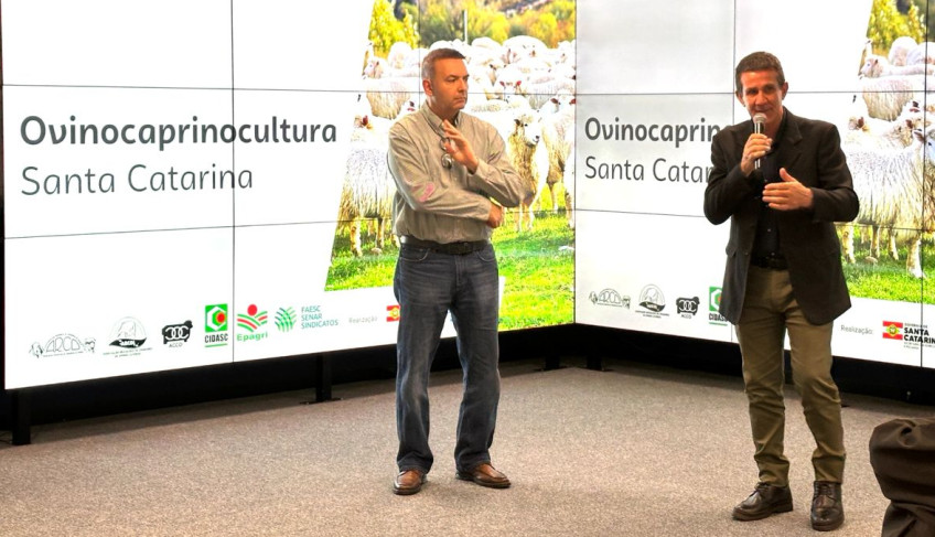 Sebrae/SC entrega estudo de inteligência de mercado e resultados inéditos de Genômica Ovina com uso de chips