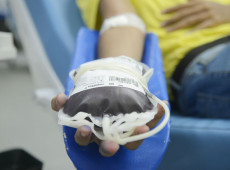 Portaria libera doa&ccedil;&atilde;o de sangue de pessoas com mais de 70 anos