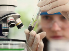 Imers&atilde;o cient&iacute;fica leva alunas e professoras a centros tecnol&oacute;gicos