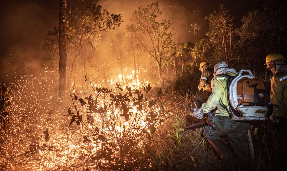 Ibama extingue 229 incêndios no Amazonas e segue no combate ao fogo