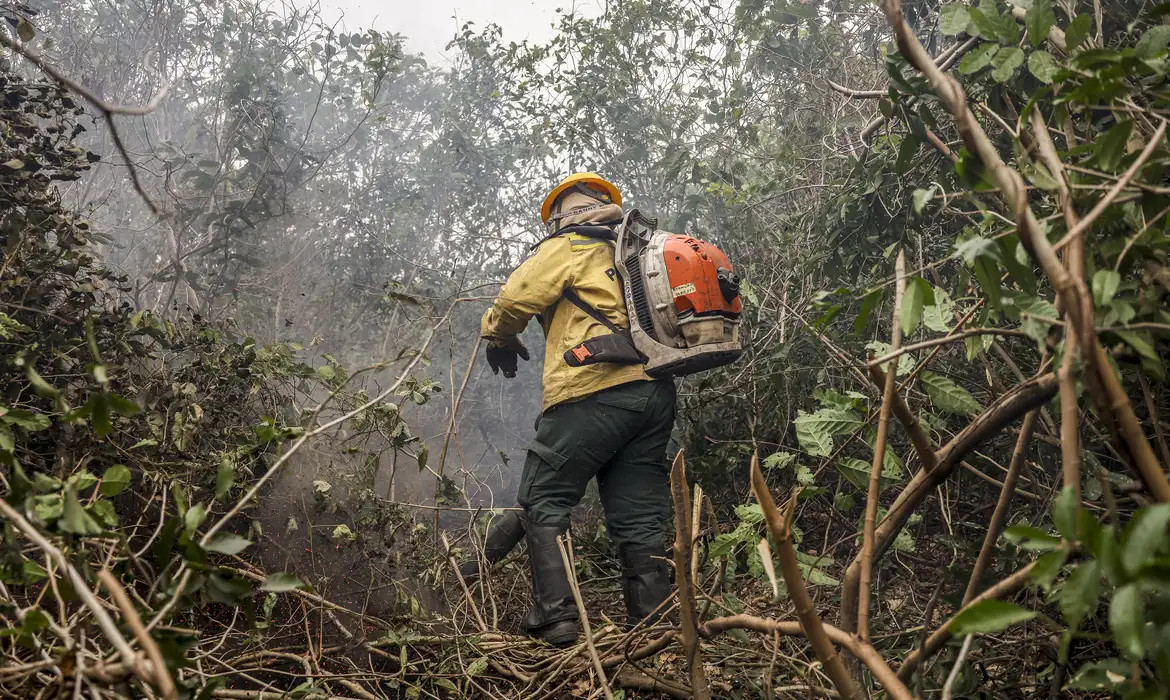 Incêdios no Amazonas resultam de ação humana intencional, diz ministro