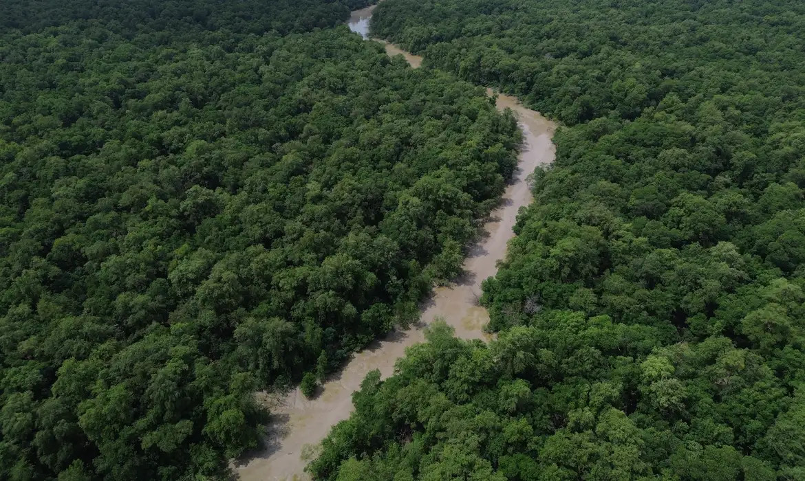 Desmatamento cai 41,8% na Amazônia e 23,8% no Cerrado em um ano