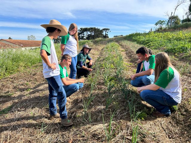 Os Cedups funcionam como escolas-fazendas, com Ensino M&eacute;dio tradicional e curso T&eacute;cnico em Agropecu&aacute;ria