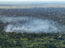 Estudo aponta atividade humana nas emiss&otilde;es de carbono na Amaz&ocirc;nia