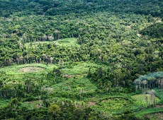 Plataforma pan-amaz&ocirc;nica re&uacute;ne 232 pol&iacute;ticas p&uacute;blicas para bioeconomia