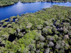 Desmatamento em &aacute;reas protegidas da Amaz&ocirc;nia e do Cerrado tem queda