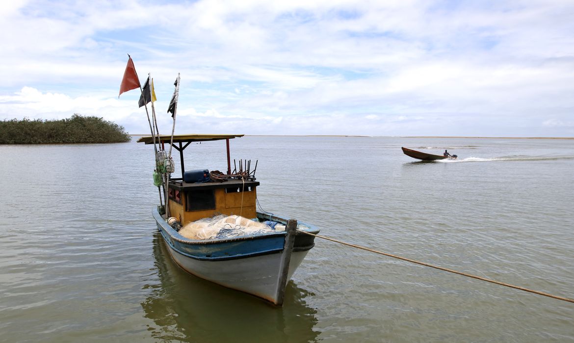 Pesca na foz do Rio Doce volta a ser liberada depois de dez anos